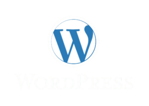 wordpress developer